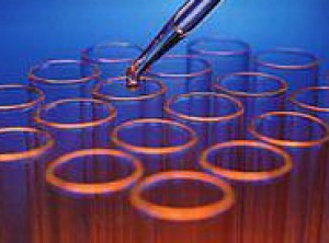 101834659-e752610f-55bd-49ad-ab05-95290e5fea82 (1)