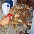 dal Corriere del Mezzogiorno Sei misure cautelari: una di questa riguarda un direttore sanitario dell’ospedale Capilupi di Capri (obbligo di dimora) NAPOLI – Sei misure cautelari sono state eseguite, a [&hellip;]