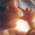 Rassegna Stampa fonte. 2013-09-20 Radio Vaticana Ogni bambino condannato all’aborto “ha il volto del Signore”. Così il Papa, ricevendo oggi in Sala Clementina un centinaio di medici della Federazione Internazionale [&hellip;]