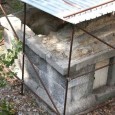 Rassegna Stampa di Susy Malafronte Pompei. Gli scavi archeologici di Pompei finiscono all’asta. La signora Antonietta Nunziata, proprietaria della Necropoli dell’antica città romana, ha conferito al suo legale Livio Provitera il [&hellip;]