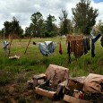 Due dollari a notte il prezzo pagato per una ragazzina dai minatori dello Zimbabwe.Nella regione di Marange, nello Zimbabwe orientale, la perdita di terreno coltivabile e la discriminazione di genere, [&hellip;]