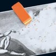 L’uomo che non possiede terra, che non dissoda, non semina e non raccoglie i suoi frutti benedetti, non può considerarsi tale, ma elemento improprio di un disegno imperturbabile e di [&hellip;]